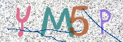 この文字を入力してください