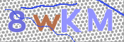 この文字を入力してください