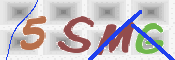 この文字を入力してください