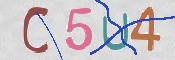 この文字を入力してください