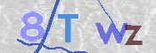 この文字を入力してください