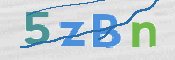 この文字を入力してください