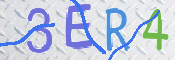 この文字を入力してください