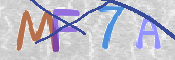 この文字を入力してください