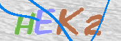 この文字を入力してください