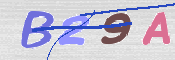 この文字を入力してください