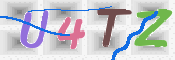 この文字を入力してください