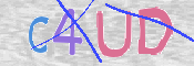 この文字を入力してください