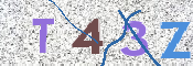 この文字を入力してください