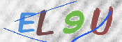 この文字を入力してください