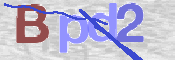 この文字を入力してください