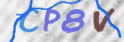 この文字を入力してください