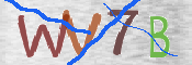 この文字を入力してください