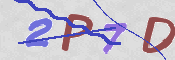 この文字を入力してください