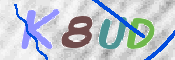 この文字を入力してください