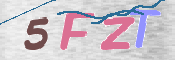 この文字を入力してください