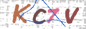 この文字を入力してください