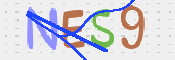 この文字を入力してください