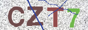 この文字を入力してください