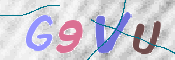 この文字を入力してください