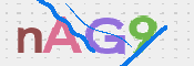 この文字を入力してください