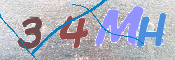 この文字を入力してください