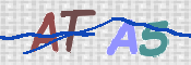 この文字を入力してください