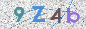 この文字を入力してください