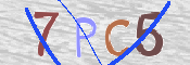 この文字を入力してください