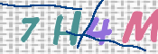 この文字を入力してください