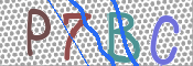 この文字を入力してください