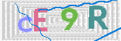 この文字を入力してください