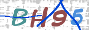 この文字を入力してください