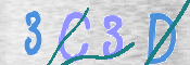 この文字を入力してください