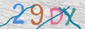 この文字を入力してください