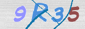 この文字を入力してください