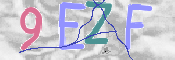 この文字を入力してください