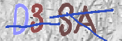 この文字を入力してください
