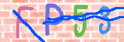この文字を入力してください