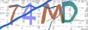 この文字を入力してください