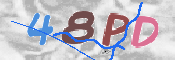 この文字を入力してください