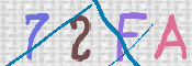 この文字を入力してください
