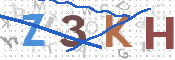 この文字を入力してください