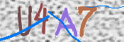この文字を入力してください