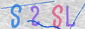 この文字を入力してください