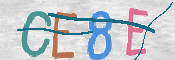 この文字を入力してください