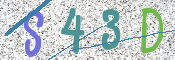 この文字を入力してください