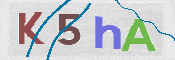 この文字を入力してください
