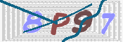 この文字を入力してください
