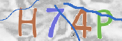 この文字を入力してください